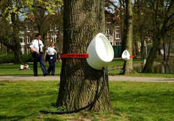 P-tree3.jpg