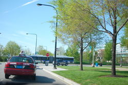 DSC_3831.jpg
