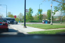 DSC_3832.jpg