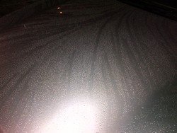 IMG-20120818-00012.jpg