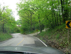 IMG_1886_1.jpg
