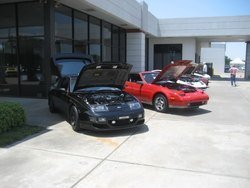 IMG_3168.jpg