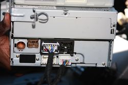 IMG_6694.jpg