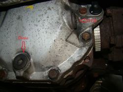DSC07410s.jpg