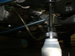 DSC07420s.jpg