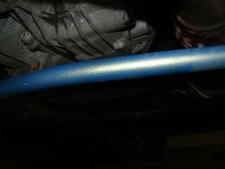 DSC07445s.jpg