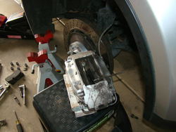 DSC07493.jpg
