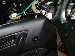 DSC07610.jpg