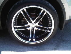 IMG00289-20110502-1550.jpg