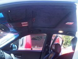 IMG00297-20110503-1356.jpg