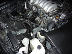 P1050036.jpg