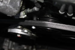IMG_6231.jpg
