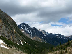 IMG_3185_1.jpg