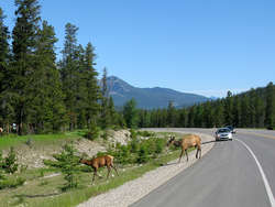 IMG_3268_1-1.jpg