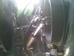 IMG00540-20110530-1318.jpg