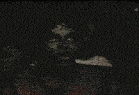 tCp90.gif