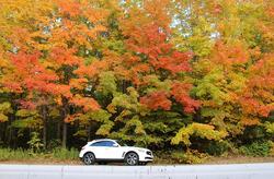 IMG_0816PS_zps7b4e72ec.jpg