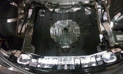 fx_trunk_bquite4.jpg