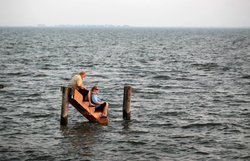 bp1.jpg