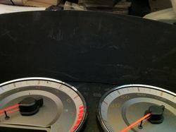 IMG_1236.jpg