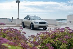 DSC_0196.jpg