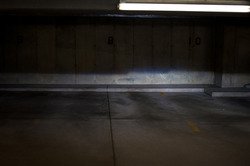 DSC_0098.jpg