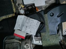 IMG_20130225_094245.jpg