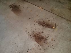 IMG_20131119_124040_zps06471854.jpg