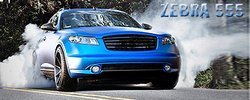 Zebra_Avatar_May2014_zps0a0b4541.jpg