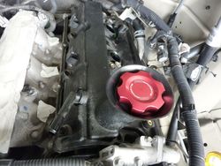 P1080084_zps95c36ada.jpg