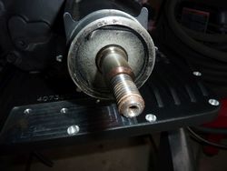 P1080264_zpsef18f4b8.jpg