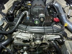 P1080269_zps97fe88c5.jpg