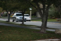IMG_6762.jpg