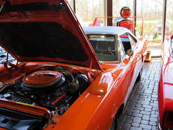 IMG_1981_1.jpg
