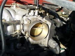 ce05b82f1a9ecfe19c9a_40.jpg