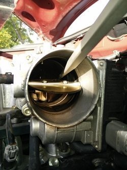 ce05b82f1a9ecfe19c9a_41.jpg
