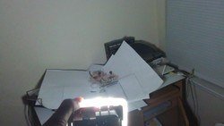 IMAG0310.jpg