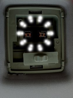 small.jpg