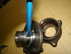 DSC07357.jpg