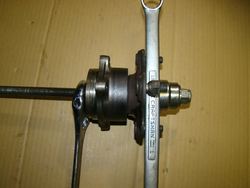 DSC07350.jpg