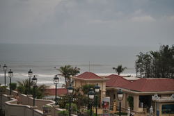 DSC_1259.jpg