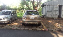 20120513_074715.jpg