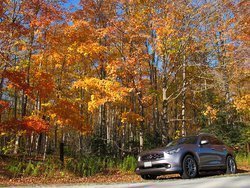 IMG_7249_PS.jpg