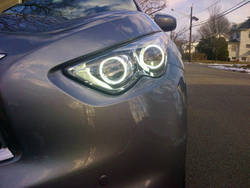 7033angel-eyes.jpg