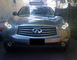 8749Angel-Eye-in-the-Shade.jpg
