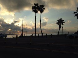 86360319c44288cc0909f0b6fcc799e8.jpg