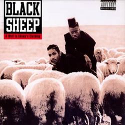 black-sheep.jpg