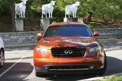 IMG_9439_S_zps9a582bbc.jpg