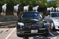 IMG_9436_S_zps1ff02b4e.jpg