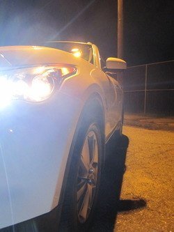 IMG_1173.jpg